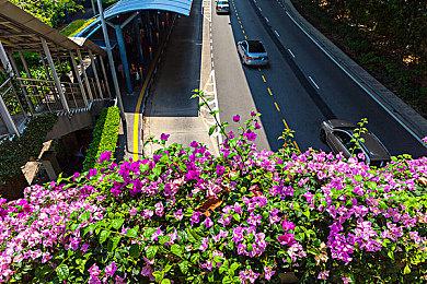 《寂静岭2》重制版全球销量突破250万 系列总销量超千万